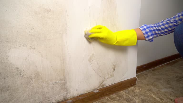 Best Residential Mold Inspection & Testing  in Morton, TX